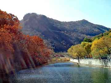 新澳天天开奖资料大全旅游团，杨树的手机铃声